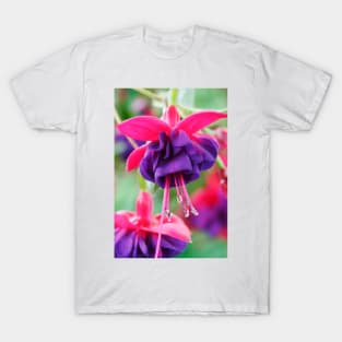 Fuchsia  'Dark Eyes'  AGM T-Shirt